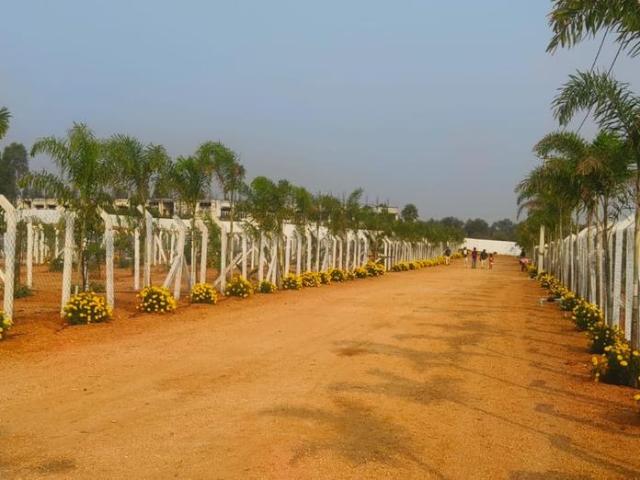 Residential Plot in Shadnagar for resale Ranga Reddy. The reference number is 20449078