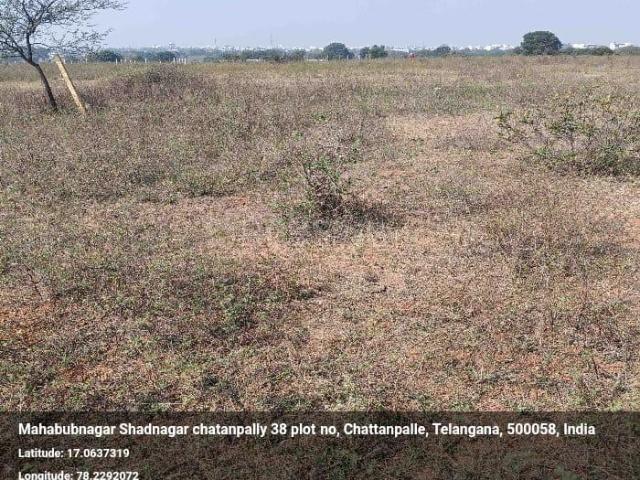 Residential Plot in Shadnagar for resale Ranga Reddy. The reference number is 20462296