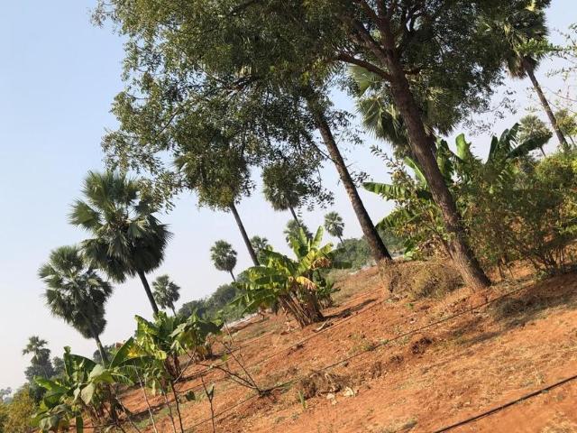 Residential Plot in Shadnagar for resale Ranga Reddy. The reference number is 20605408