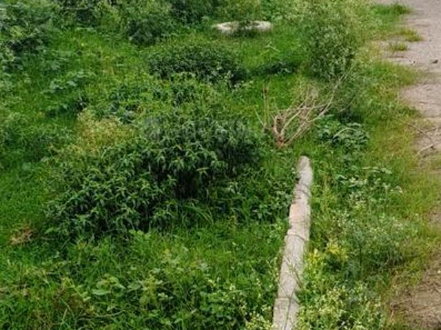 Residential Plot in Shadnagar for resale Ranga Reddy. The reference number is 20639303