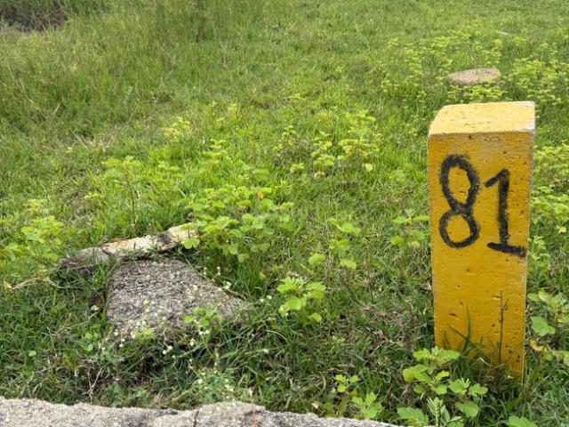 Residential Plot in Shadnagar for resale Ranga Reddy. The reference number is 21046026