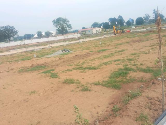 Residential Plot in Shadnagar for resale Ranga Reddy. The reference number is 21184270