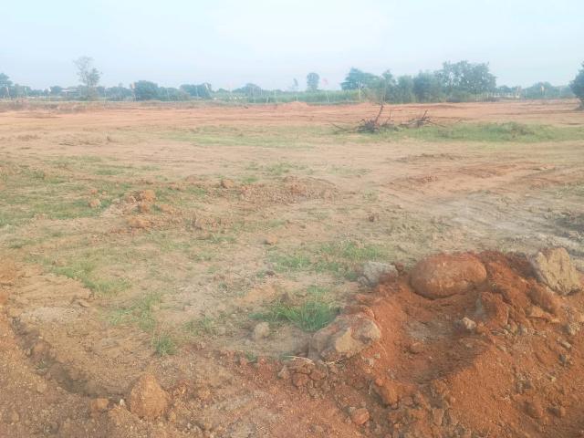 Residential Plot in Shadnagar for resale Ranga Reddy. The reference number is 21281009