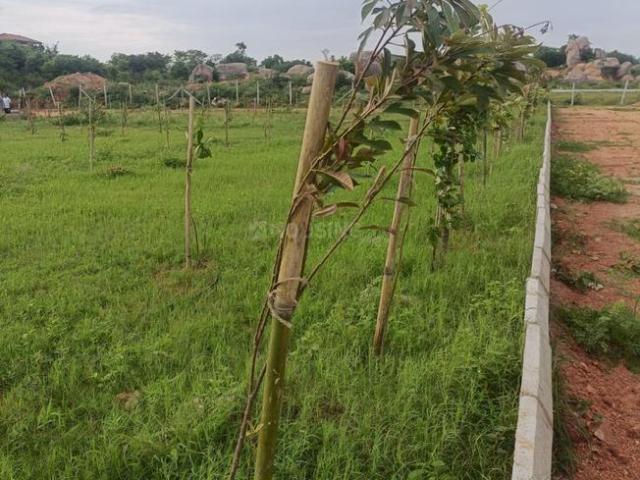 Residential Plot in Shadnagar for resale Ranga Reddy. The reference number is 21295734