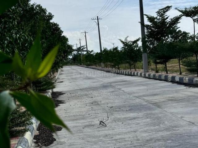 Residential Plot in Shadnagar for resale Ranga Reddy. The reference number is 21386168