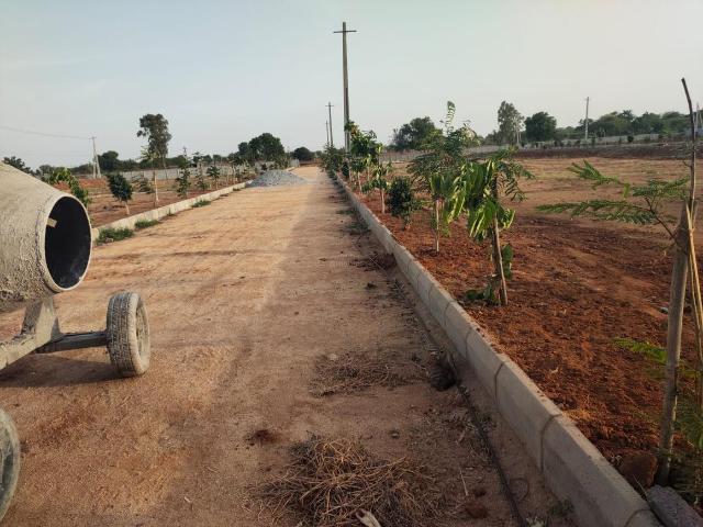 Residential Plot in Shadnagar for resale Ranga Reddy. The reference number is 9248430