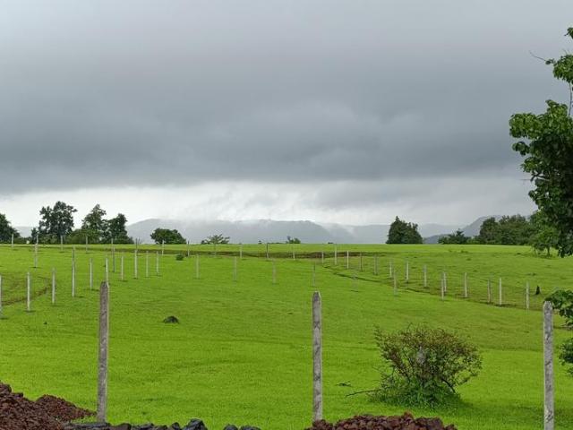Residential Plot in Shahapur for resale Thane. The reference number is 21040401