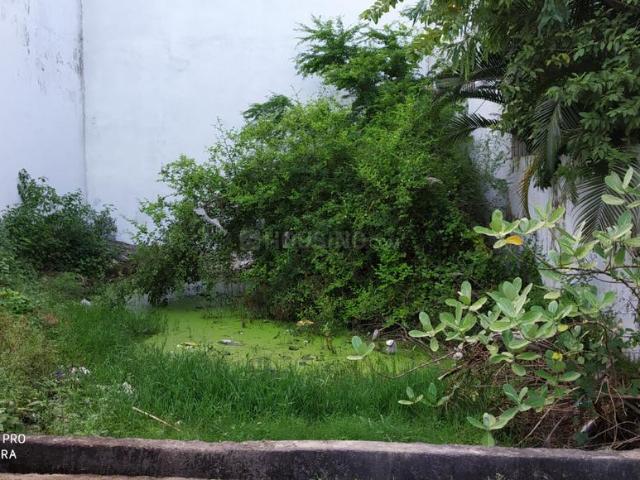 Residential Plot in Shastri Nagar for resale Jabalpur. The reference number is 12920979