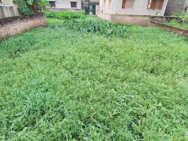 Residential Plot in Shibrampur Mauza for resale Kolkata. The reference number is 14872783
