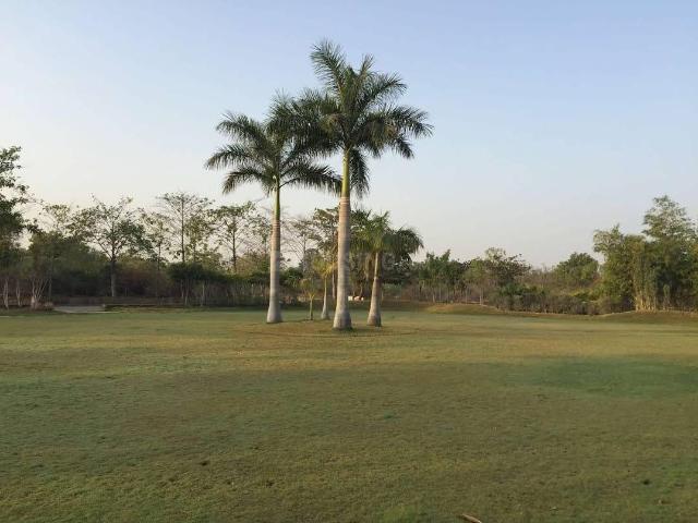 Residential Plot in Shilaj for resale Ahmedabad. The reference number is 19564234