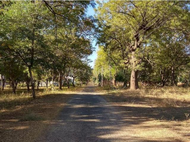 Residential Plot in Shilaj for resale Ahmedabad. The reference number is 21146717