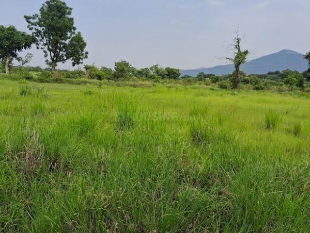 Residential Plot in Shirvali, Bhor for resale Pune. The reference number is 21297255
