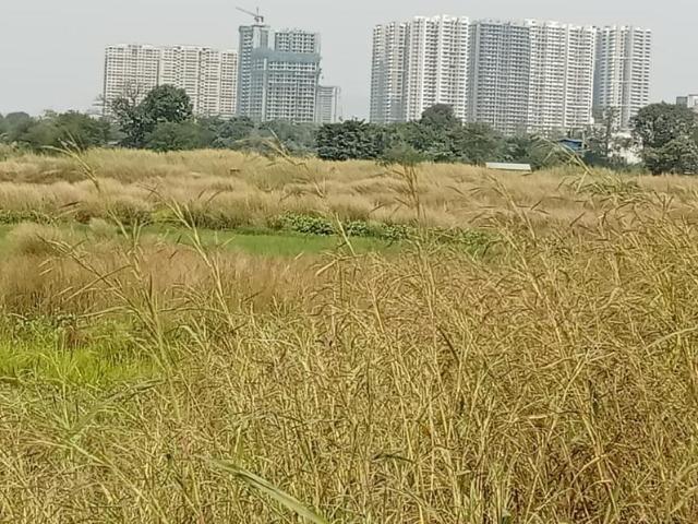 Residential Plot in Shirdhon for resale Navi Mumbai. The reference number is 17870556