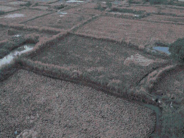 Residential Plot in Shirdhon for resale Navi Mumbai. The reference number is 17892634