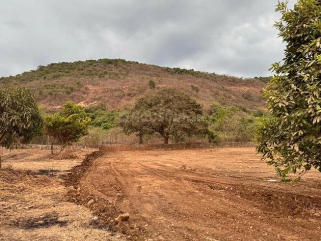 Residential Plot in Shirdhon for resale Navi Mumbai. The reference number is 18443515