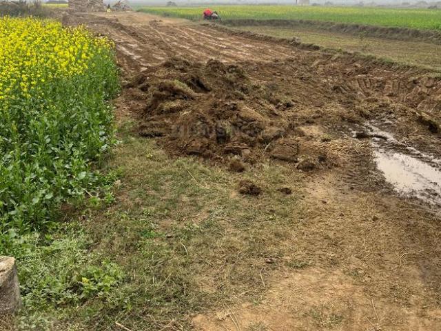 Residential Plot in Shivala Par for resale Patna. The reference number is 19188242