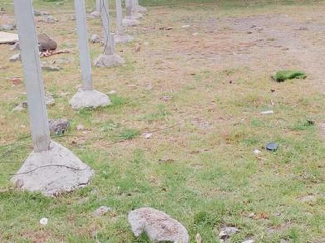 Residential Plot in Sholinganallur for resale Chennai. The reference number is 21245398