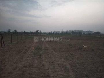 Palwal District, Haryana State - Garden