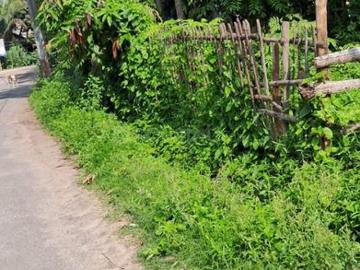 Residential Plot in Shyamnagar for resale Kolkata. The reference number is 20174970