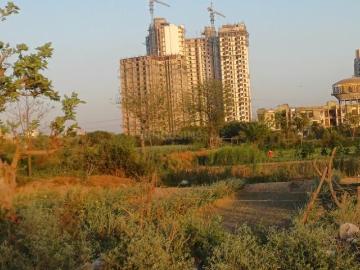 Residential Plot in Siddharth Vihar for resale Ghaziabad. The reference number is 16689604