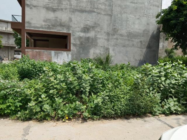 Residential Plot in Sikandra for resale Agra. The reference number is 20829066