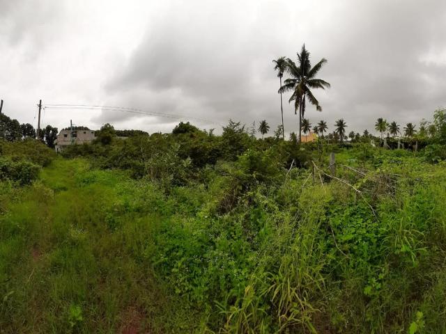 Residential Plot in Singanayakanahalli for resale Bengaluru. The reference number is 9301423