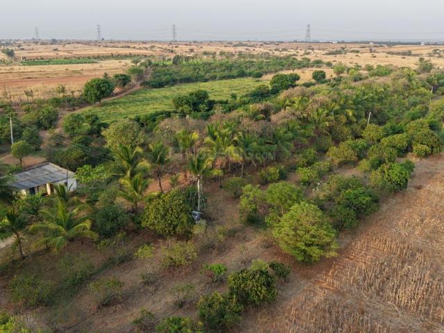 Residential Plot in Singanahalli, Madhugiri for resale Tumkur. The reference number is 20723362