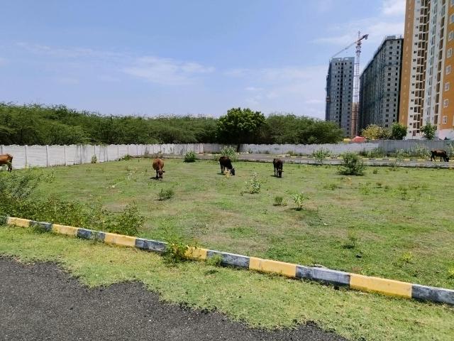 Residential Plot in Siruseri for resale Chennai. The reference number is 21080503