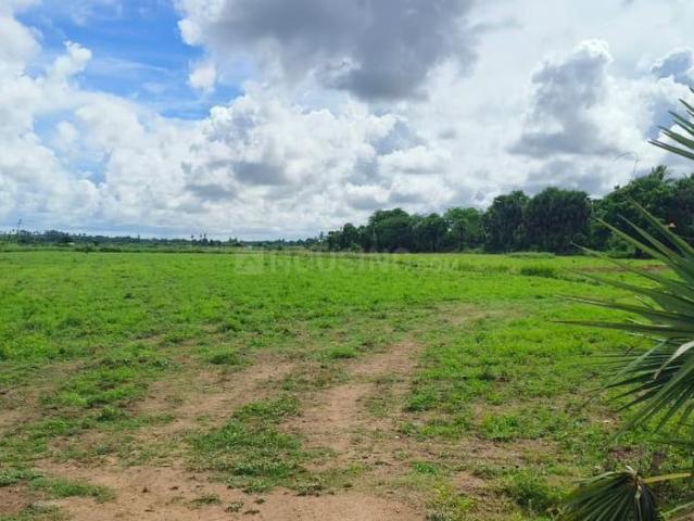 Residential Plot in Siula for resale Bhubaneswar. The reference number is 20912327