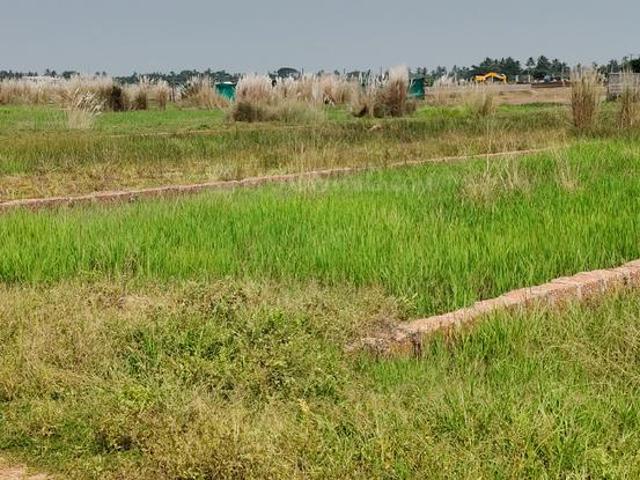 Residential Plot in Siula for resale Bhubaneswar. The reference number is 21251335
