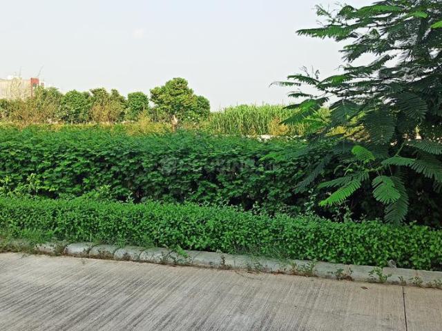Residential Plot in Slamatpur for resale Chandigarh. The reference number is 21015131