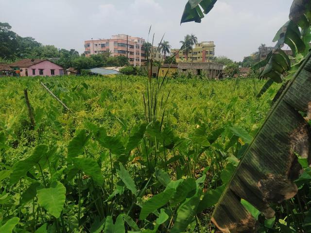 Residential Plot in Sodepur for resale Kolkata. The reference number is 11011732