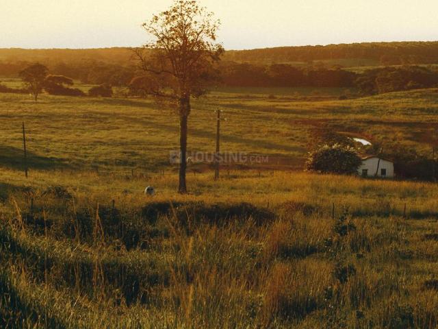 Residential Plot in Sola for resale Ahmedabad. The reference number is 21193909