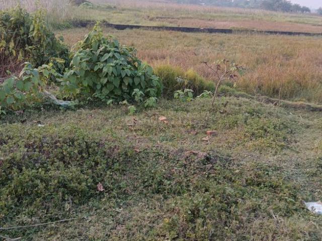 Residential Plot in Sonarpur for resale Kolkata. The reference number is 15966799