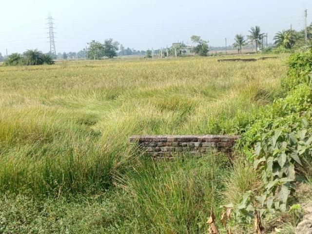 Residential Plot in Sonarpur for resale Kolkata. The reference number is 15920294