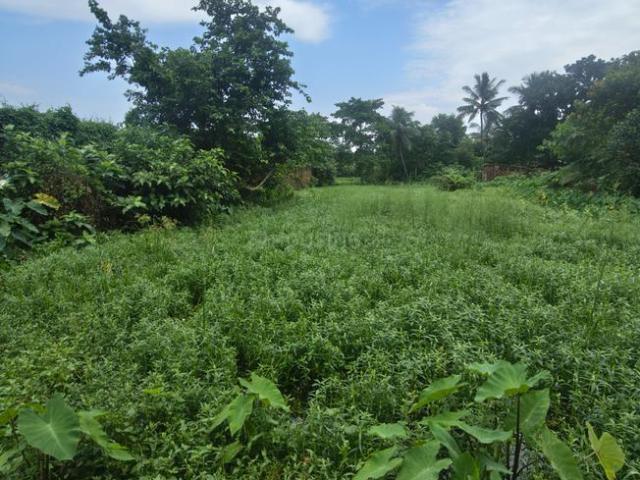 Residential Plot in Sonarpur for resale Kolkata. The reference number is 18525050