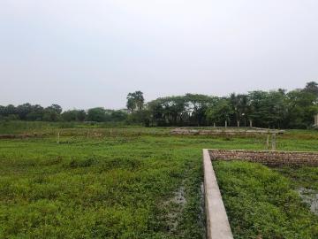 Sunderban Residency, Sinhagad Road, Pune, Pune District, Maharashtra
