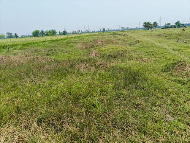 Residential Plot in Sonarpur for resale Kolkata. The reference number is 19944470