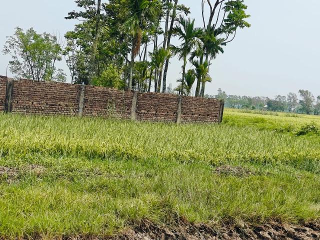 Residential Plot in Sonarpur for resale Kolkata. The reference number is 19944548