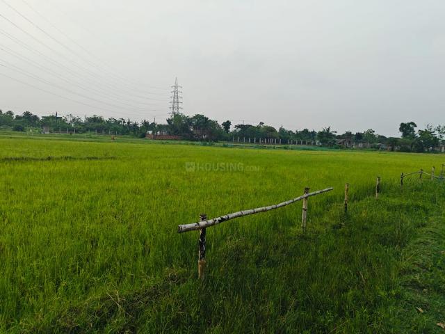 Residential Plot in Sonarpur for resale Kolkata. The reference number is 20441945