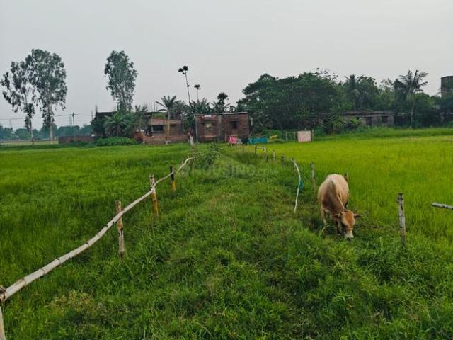 Residential Plot in Sonarpur for resale Kolkata. The reference number is 20441958