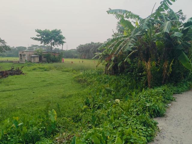 Residential Plot in Sonarpur for resale Kolkata. The reference number is 20441981