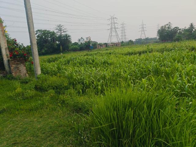 Residential Plot in Sonarpur for resale Kolkata. The reference number is 20442031