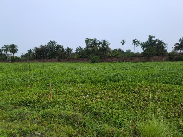 Residential Plot in Sonarpur for resale Kolkata. The reference number is 20432840