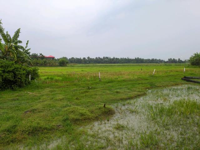 Residential Plot in Sonarpur for resale Kolkata. The reference number is 20432849
