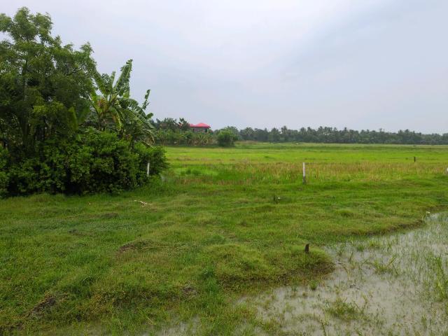 Residential Plot in Sonarpur for resale Kolkata. The reference number is 20432850