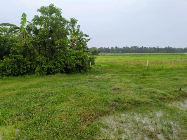 Residential Plot in Sonarpur for resale Kolkata. The reference number is 20432801