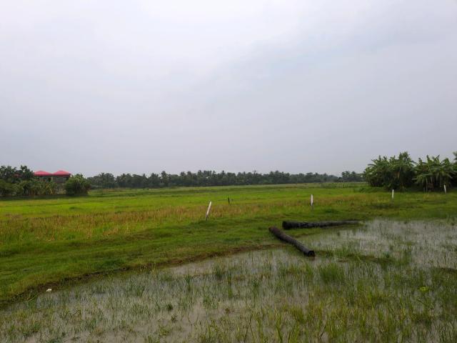 Residential Plot in Sonarpur for resale Kolkata. The reference number is 20432802