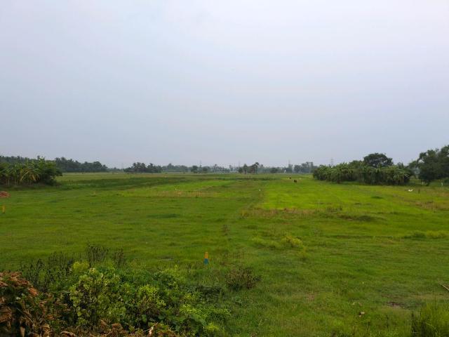 Residential Plot in Sonarpur for resale Kolkata. The reference number is 20432804