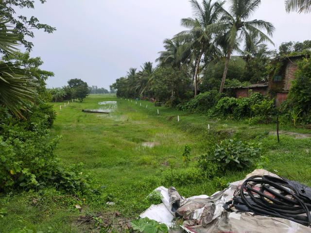 Residential Plot in Sonarpur for resale Kolkata. The reference number is 20432818